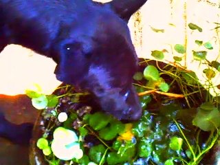 2019 Movie Official Clip 🎬