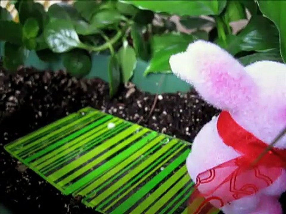 The Girl Bunnies movie 2008 Official Clip video Dailymotion