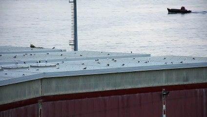 Double Around the Interlude | movie | 2022 | Official Clip