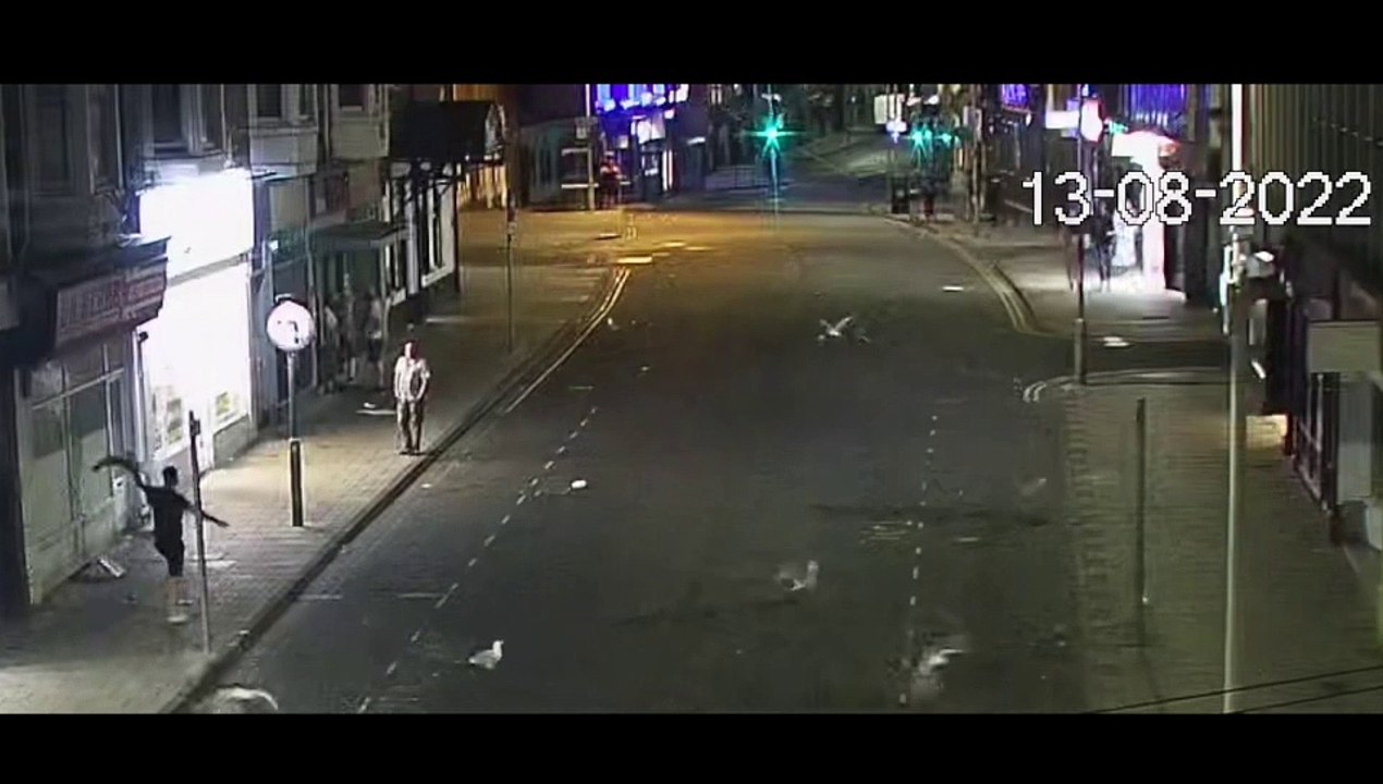 Man attacks seagull in Scarborough