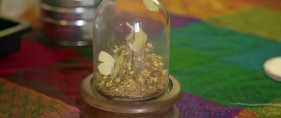 The Perfect Family | movie | 2016 | Official Clip