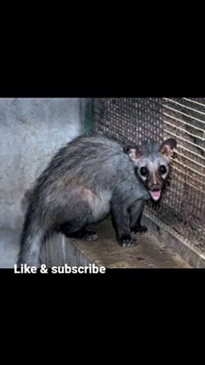 दोस्तों इस दुनिया के कुछ रहस्य में खतरनाक #facts# जिसे देखकर आप चौक जाओगे और कुछ खतरनाक जानकारीया।।।