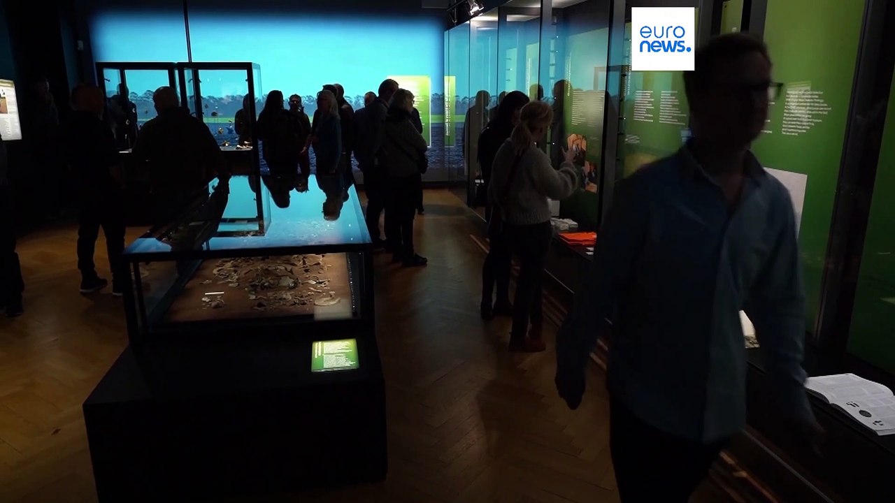 Mein wunderbarer Metalldetektor: Wie dänische Hobbyarchäologen Museen bestücken