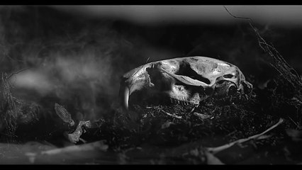 Toe | movie | 2019 | Official Clip