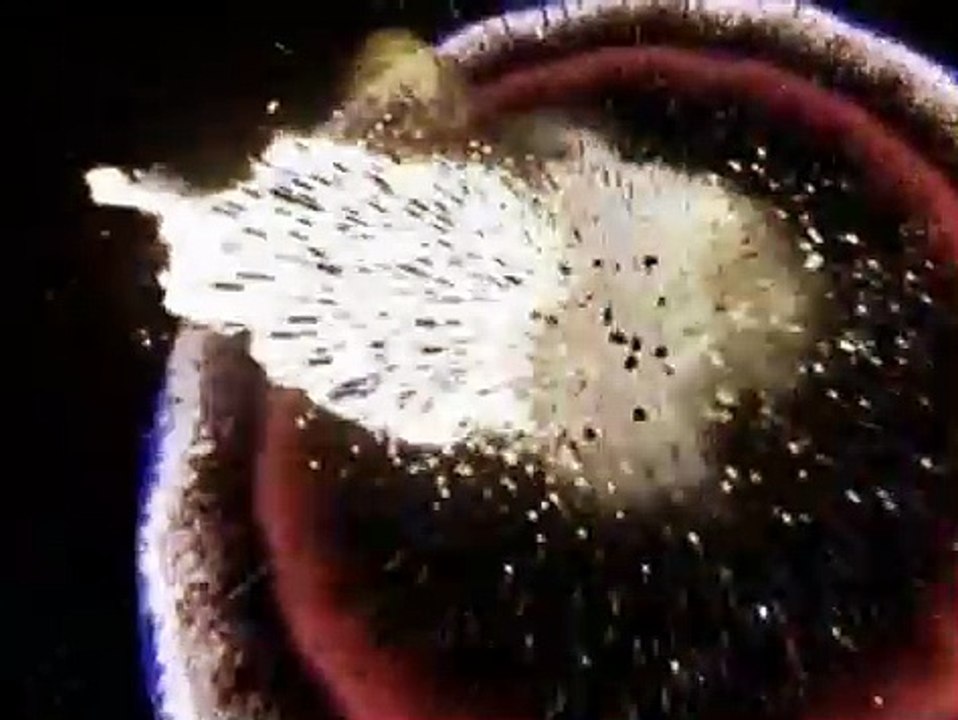 Transformers Beast Wars Transformers Beast Wars E027 – Aftermath