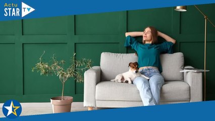 Soldes : craquez vite pour l'un de ces canapés, ils vous feront économiser entre 160 et 250€ !