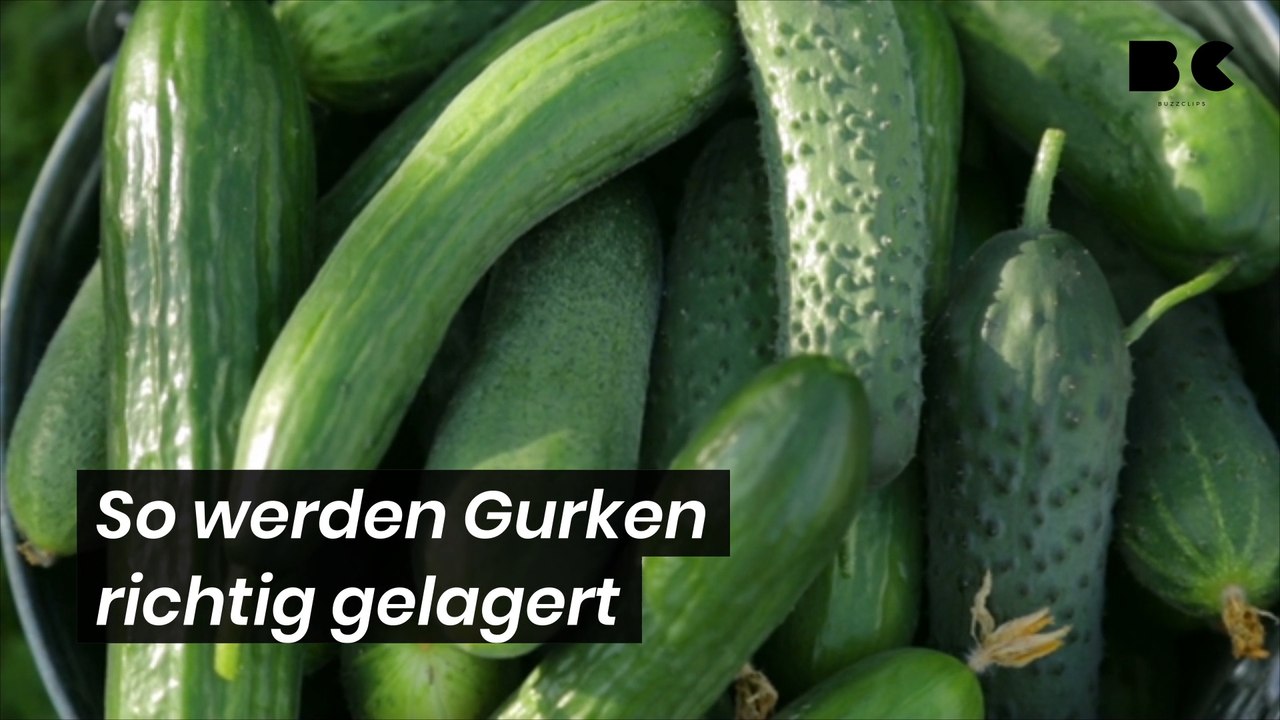 So werden Gurken richtig gelagert