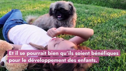 Le développement des enfants favorisé par la présence d’animaux de compagnie