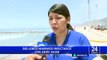 Senasa: Reportan 858 lobos marinos infectados con gripe aviar