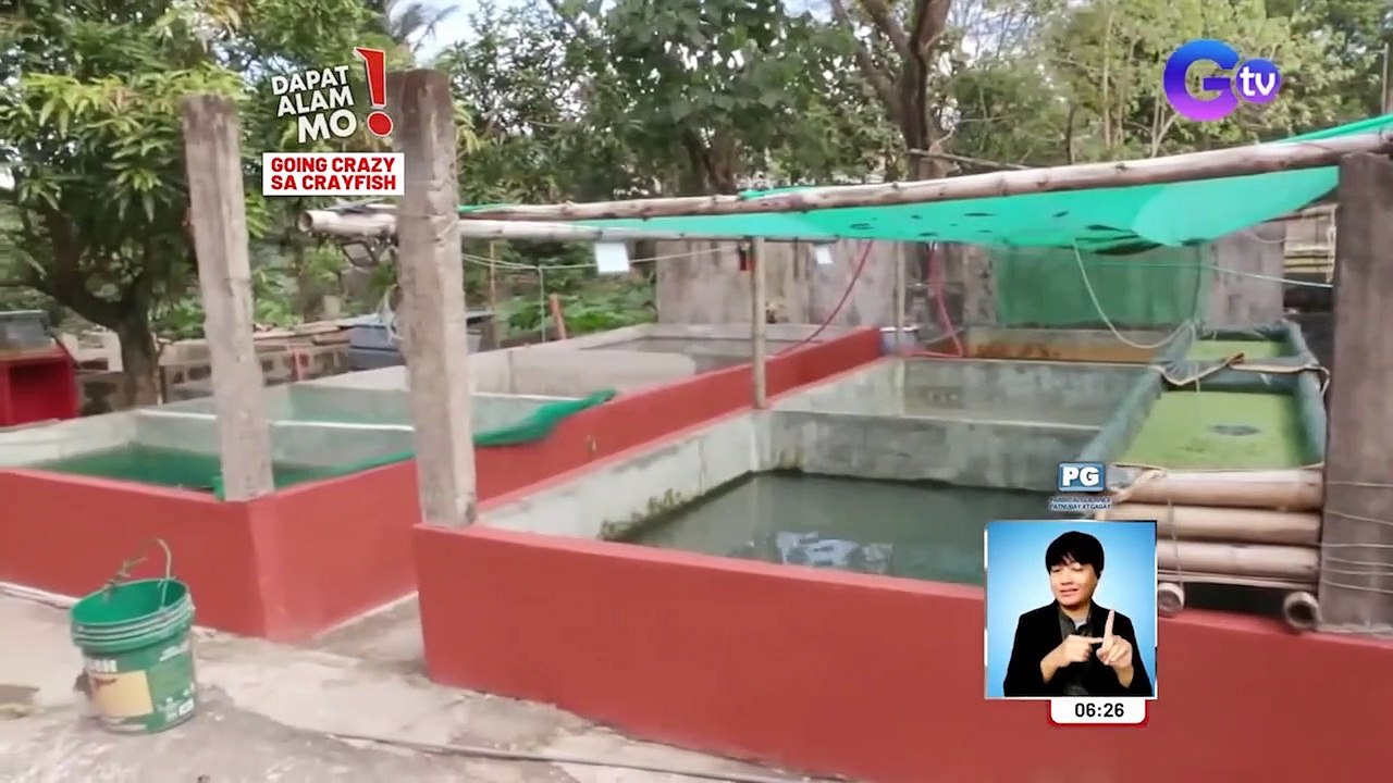 Pinagsamang sarap ng hipon at lobster, matitikman daw sa crayfish! | Dapat Alam Mo!