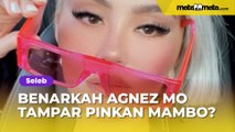 Cek Fakta: Benarkah Agnez Mo Tampar Mulut Pinkan Mambo?