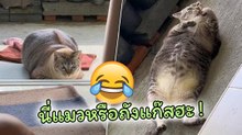นุดเราไม่อ้วนนะ..หุ่นแบบนี้เขาเรียกว่า ตะมุตะมิ หนักแค่ 5 โลเท่านั้นเอง