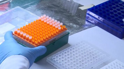 ONU: superbactérias proliferam por causa da poluição