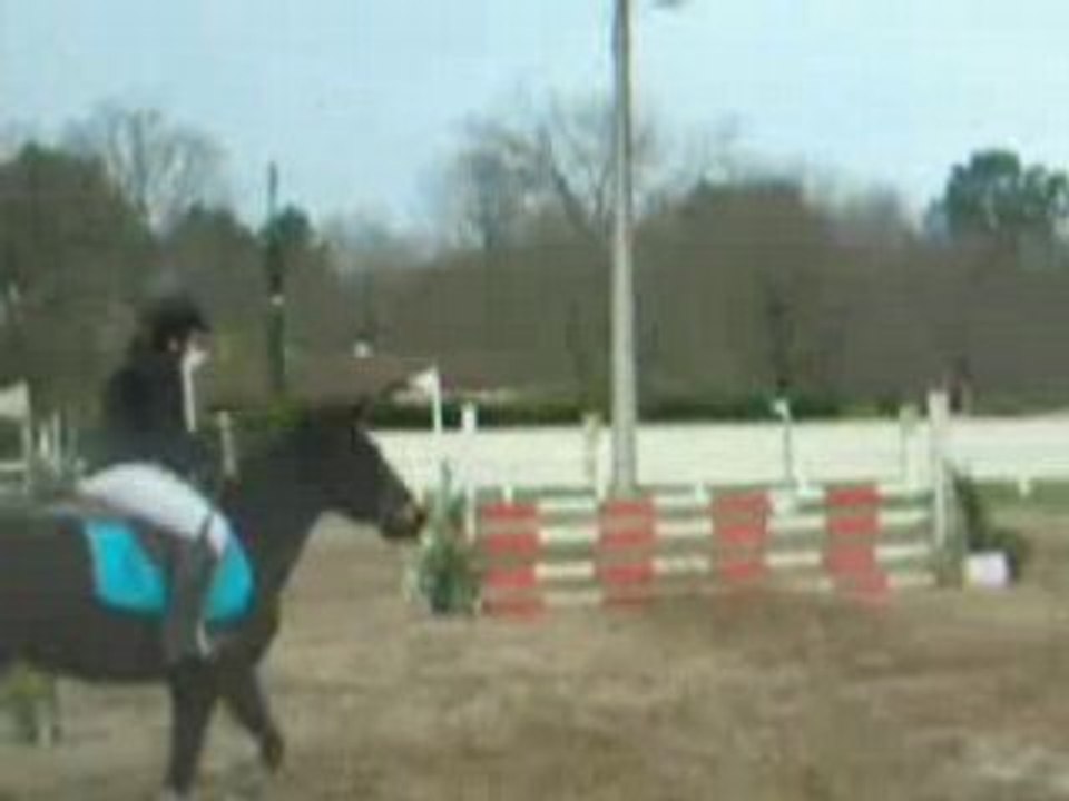 Concours st laurent du médoc 019