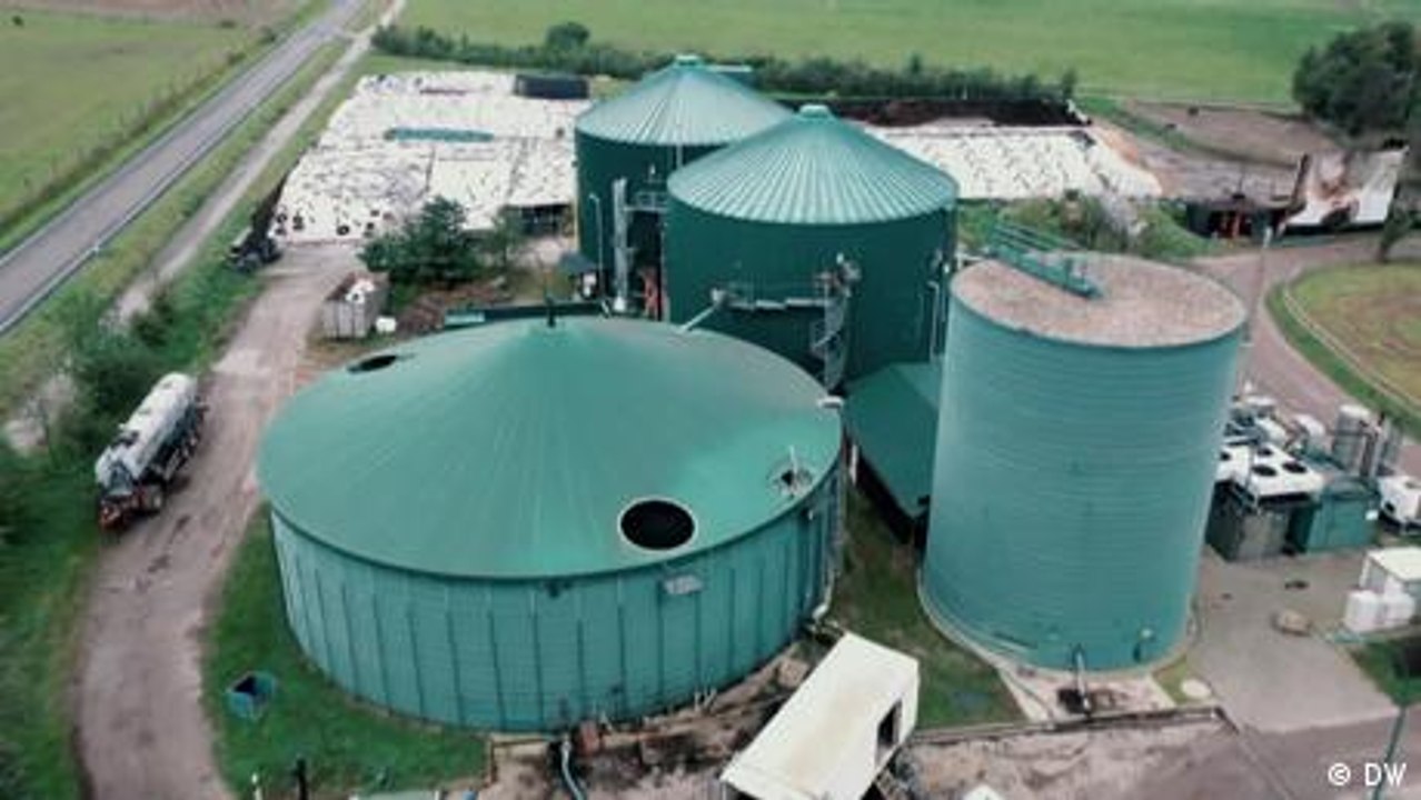 Wie sauber ist Biomasse?