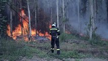 Más de 3.400 bomberos voluntarios combaten los incendios sin control en Chile
