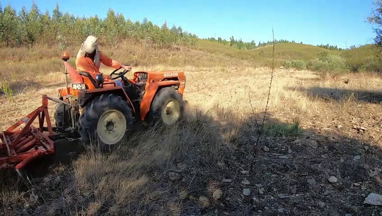 Goldoni 933 RS DT Tractor | Unpacking soil from the olive grove and an unexpected visit