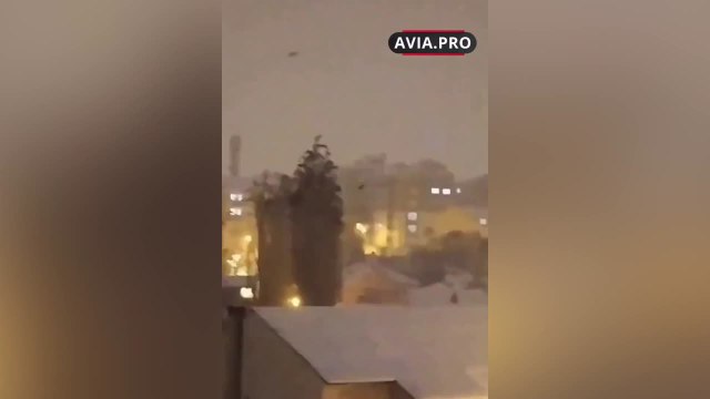 El comportamiento de los pájaros antes del terremoto