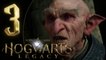 Hogwarts Legacy Walkthrough Part 3 (PS5) No Commentary