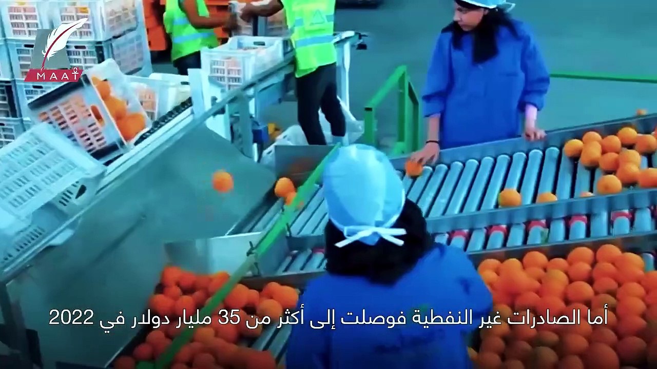 نجاحات وأزمات.. الدولة تحقق طفرة فى القطاعات وا...