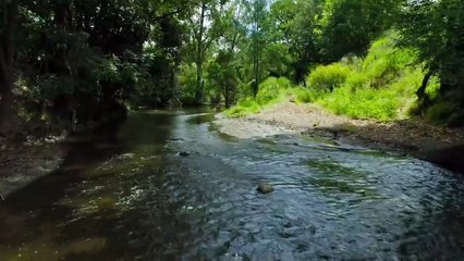 Dagworth and Wirraway, Scenic Rim, Qld - February 8, 2022 - Farmonline