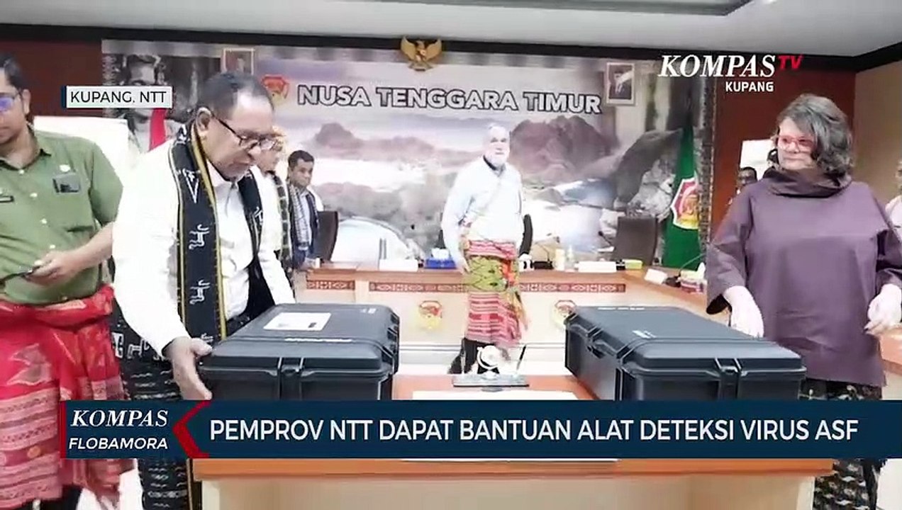 Pemprov NTT Dapat Bantuan Alat Pendeteksi Virus Demam Babi Afrika