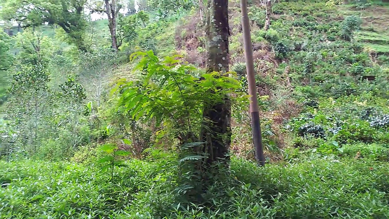 TRAVELING AND TOURING KE COBAN RONDO