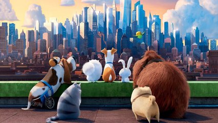 The Secret Life of Pets (2016) | Official Trailer, Full Movie Stream Preview