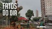 Samaumeira da Praça Santuário: moradores de Belém garantiram mais pedaços da árvore nesta terça