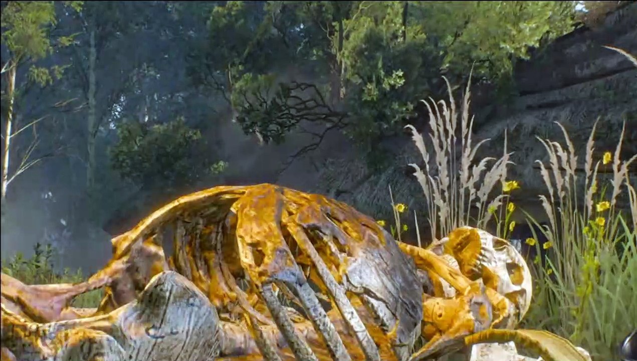 NoonWraith battle
