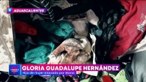 Dueño de leona que atacó a mujer en Aguascalientes sigue sin hacerse responsable