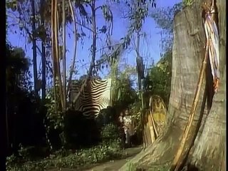 Kidsongs I'd Like To Teach The World To Sing