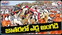 Ursu Festival Celebrations At Sangareddy, Organizing Cattle Fairs During Festival | V6 Teenmaar