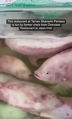 Helmed by veteran chefs, Cheras Taman Shamelin Perkasa's Restoran Buddies has excellent Chinese food