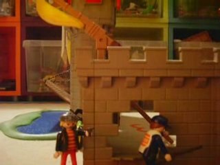 Les Voleurs Professionnels