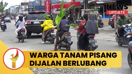 Warga Tanam Pohon Pisang Dijalan Berlubang