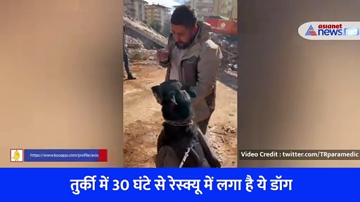 भूकंप के बाद लगातार लोगों की जान बचाने में लगा ये डॉग, 30 घंटे से बिना सोए कर रहा काम