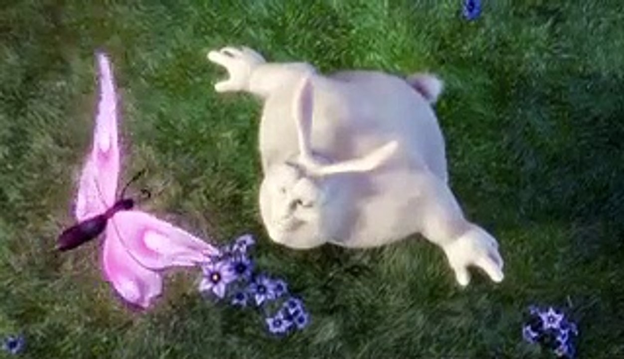 mov_bbb