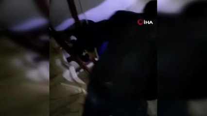 Lamia bebek, umutları yeşertti.. Yıkılan binadan yaklaşık 50 saat sonra kurtarıldı