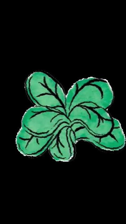 SPINACH. Spelling Practice.