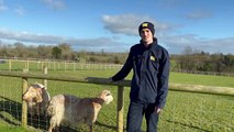 Rare Breed Survival Trust interview with Jack Gradidge, Conservation Officer, Folly Farm