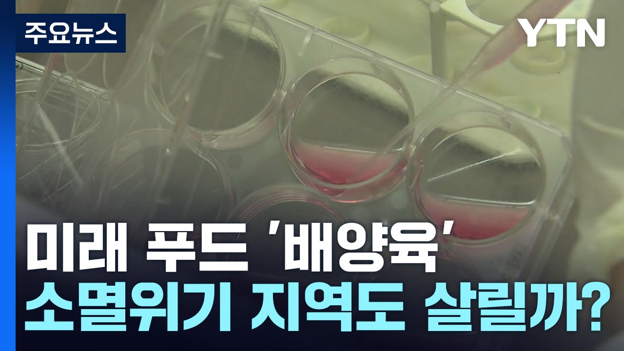 지구 살리는 미래 푸드 '배양육'...쇠락한 지역도 살릴까 / YTN