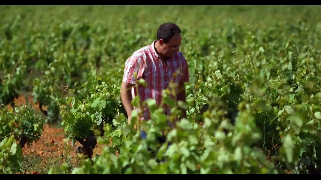 Terroir - Eine genussvolle Reise in die Welt des Weins Trailer OmeU