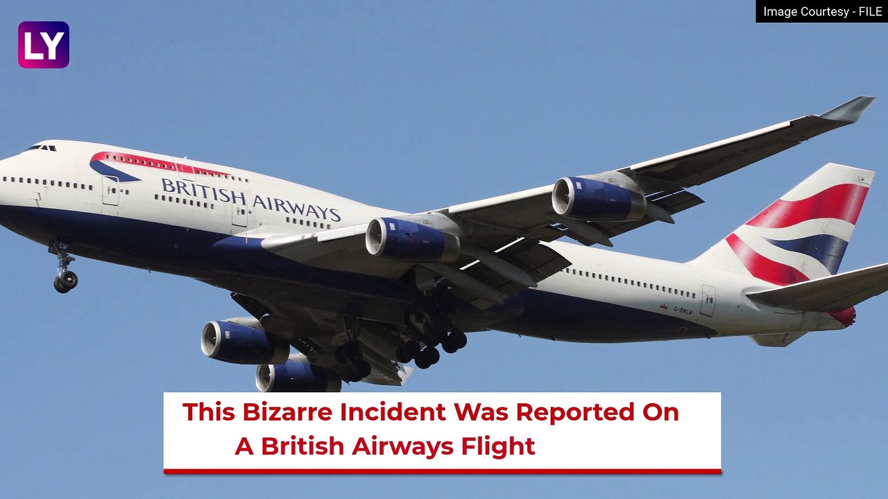 Viral: Man Pays Extra Money For Window Seat On British Airways Flight And Gets This Instead