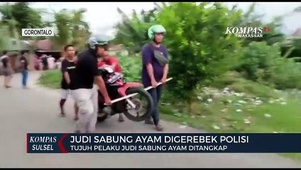 Download Video: Judi sabung ayam digerebek polisi, Tujuh pelaku ditangkap