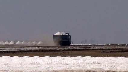 Truck full of salt, Gujarat