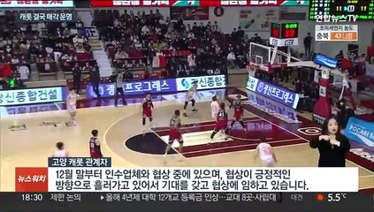 불안하더니 결국…모기업 자금난에 캐롯 농구단 매각 진행