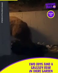 Cheeky Bears Rummage Through the Trash