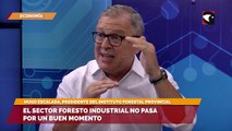 El sector foresto industrial no pasa por un buen momento