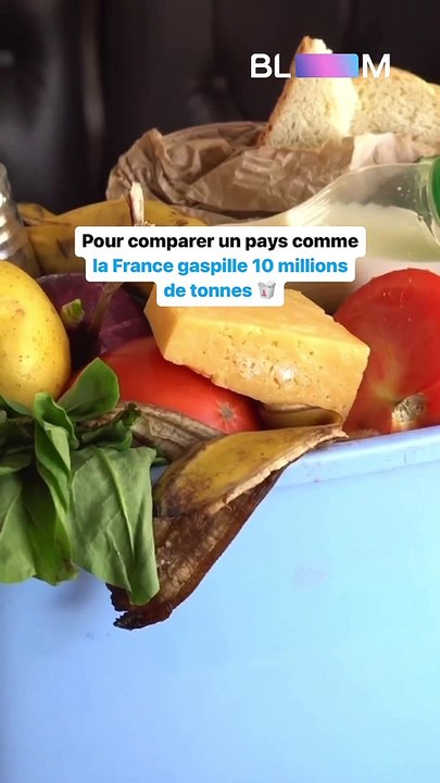 L’indonésie et le gaspillage alimentaire, une situation sans précédent…